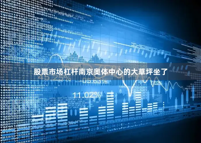 股票市场杠杆南京奥体中心的大草坪坐了