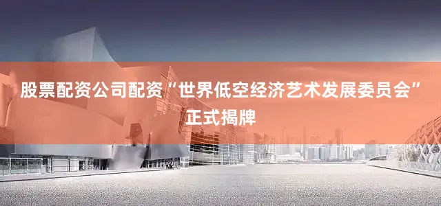 股票配资公司配资“世界低空经济艺术发展委员会”正式揭牌