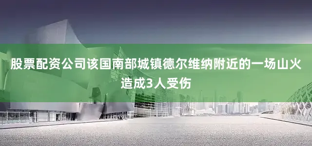 股票配资公司该国南部城镇德尔维纳附近的一场山火造成3人受伤