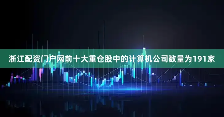 浙江配资门户网前十大重仓股中的计算机公司数量为191家
